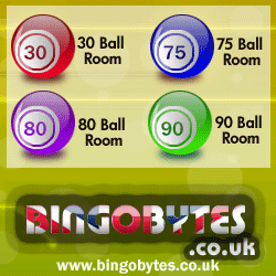 Bingo Bytes