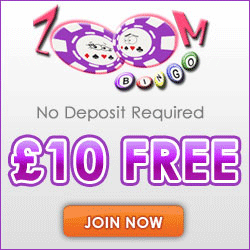 Zoom Bingo